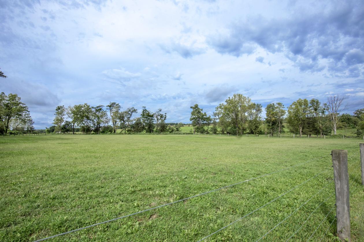 Beautiful Horse Farm in Amwell Valley - photo 5
