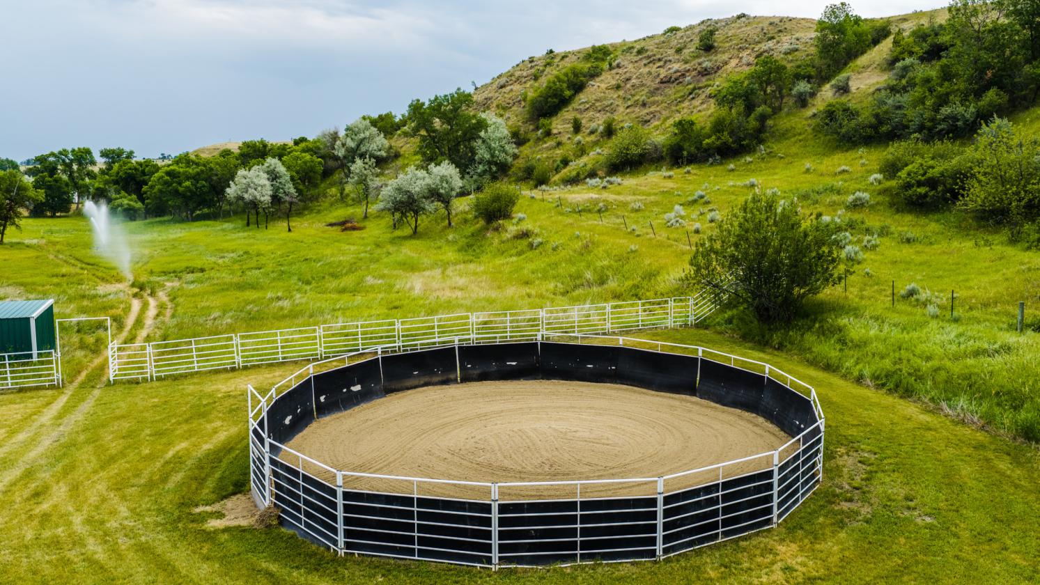 Beautiful horse property with barn & outdoor arena - photo 4