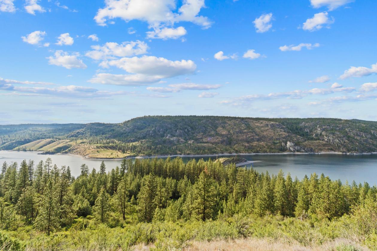 20 acres overlooking the Spokane River! - photo 4