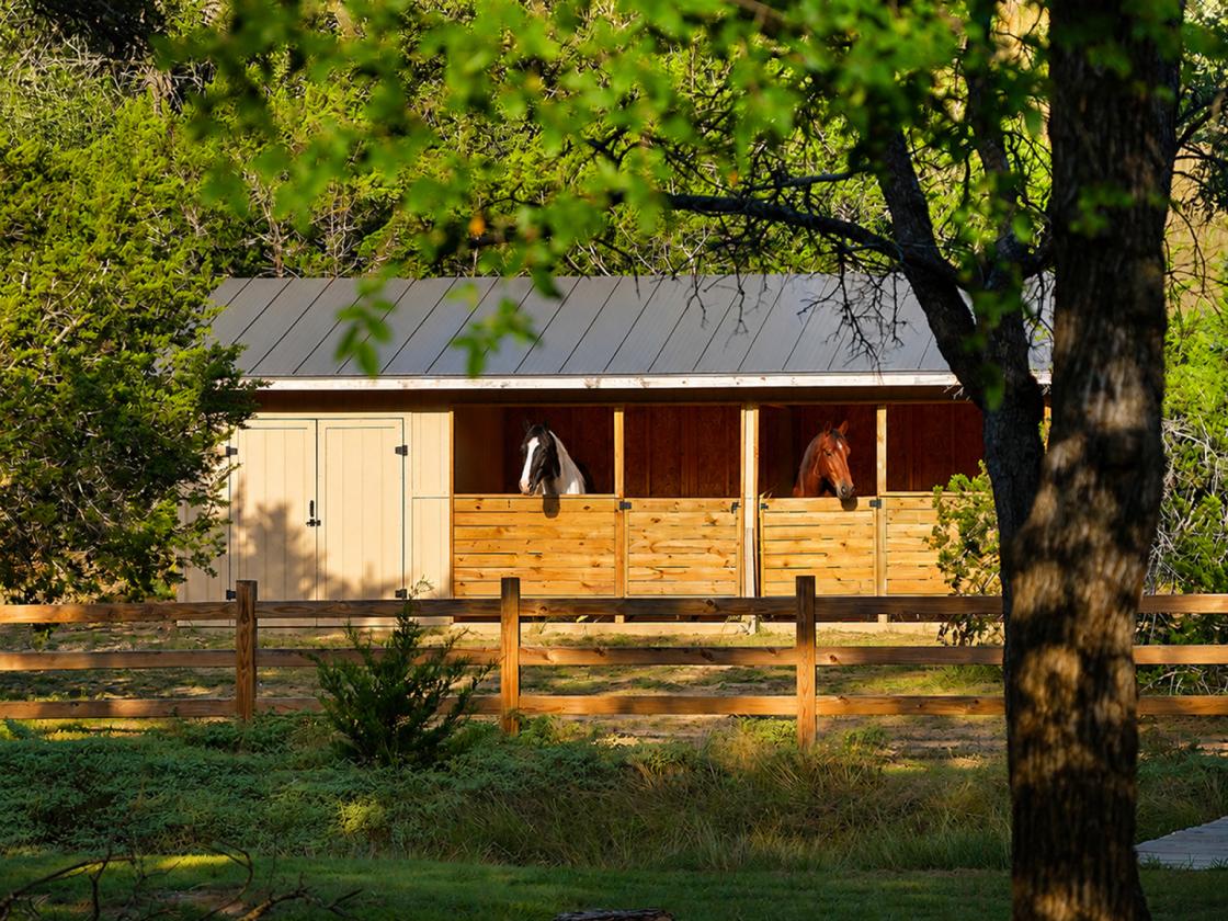 Beautiful Hill Country Home - photo 2