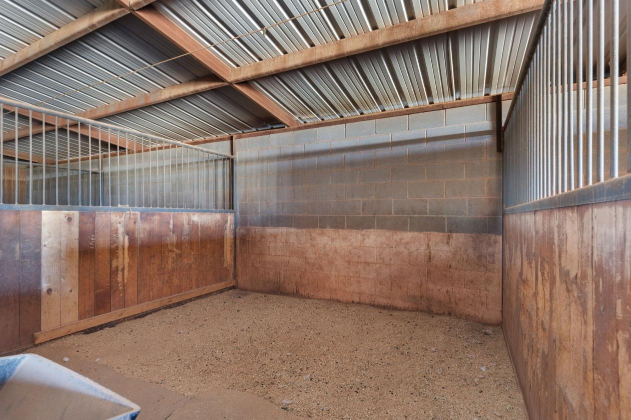 North Texas Horse Property with Irrigation - photo 7