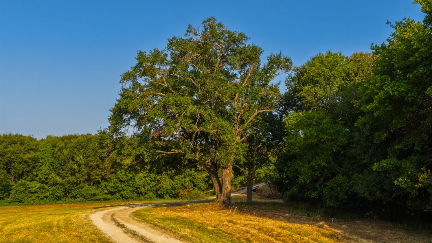 Running 6 Ranch - photo 12