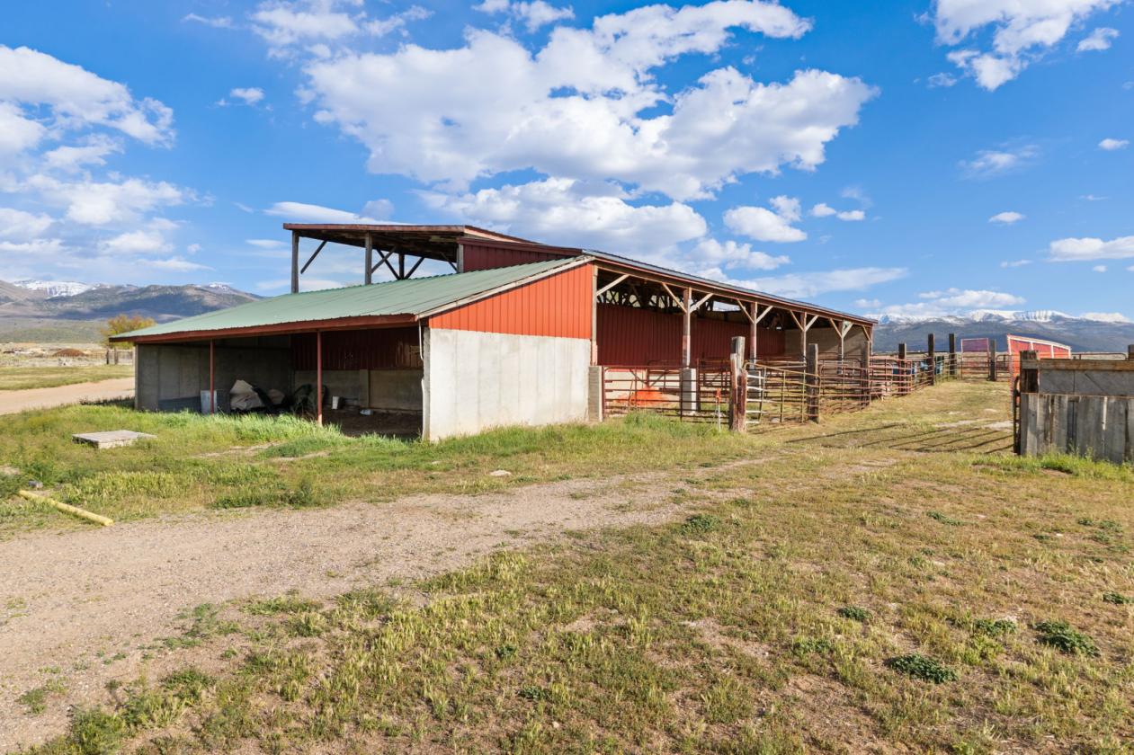 Storybook Luxury Equestrian Estate - photo 12