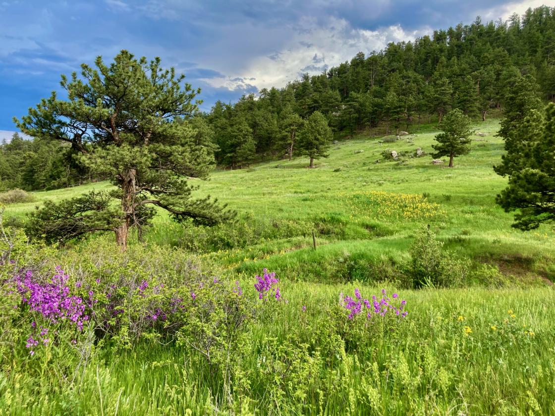 Colorado clean mtn air, serenity, views, & trails. - photo 19