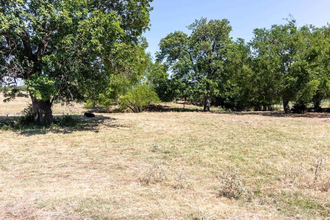 Horse Lover's Dream with Covered Arena - photo 26