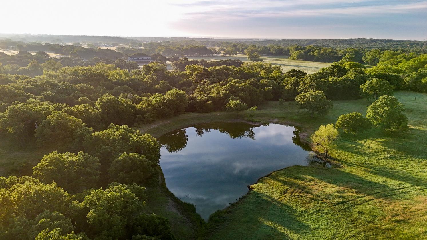 Luxury Equestrian Estate - Wise County - photo 20