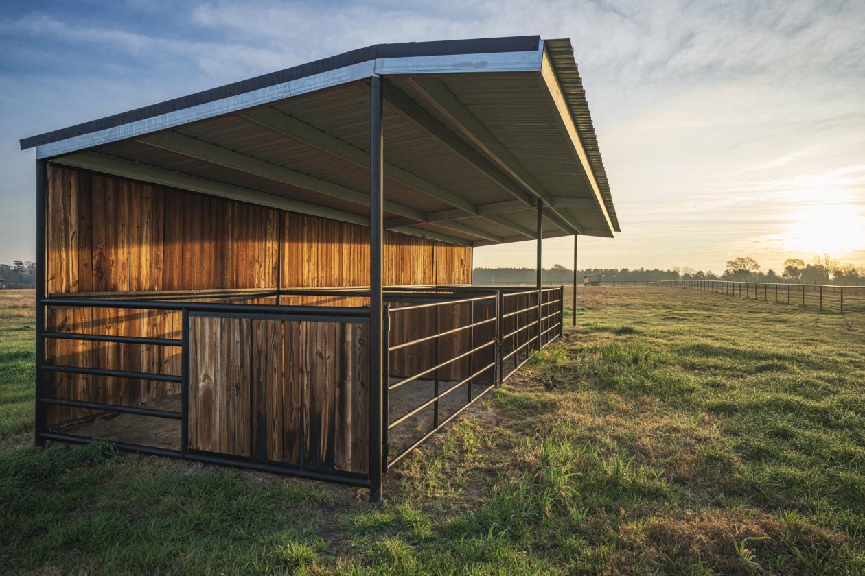 Huntsville 50 Ranch - photo 19