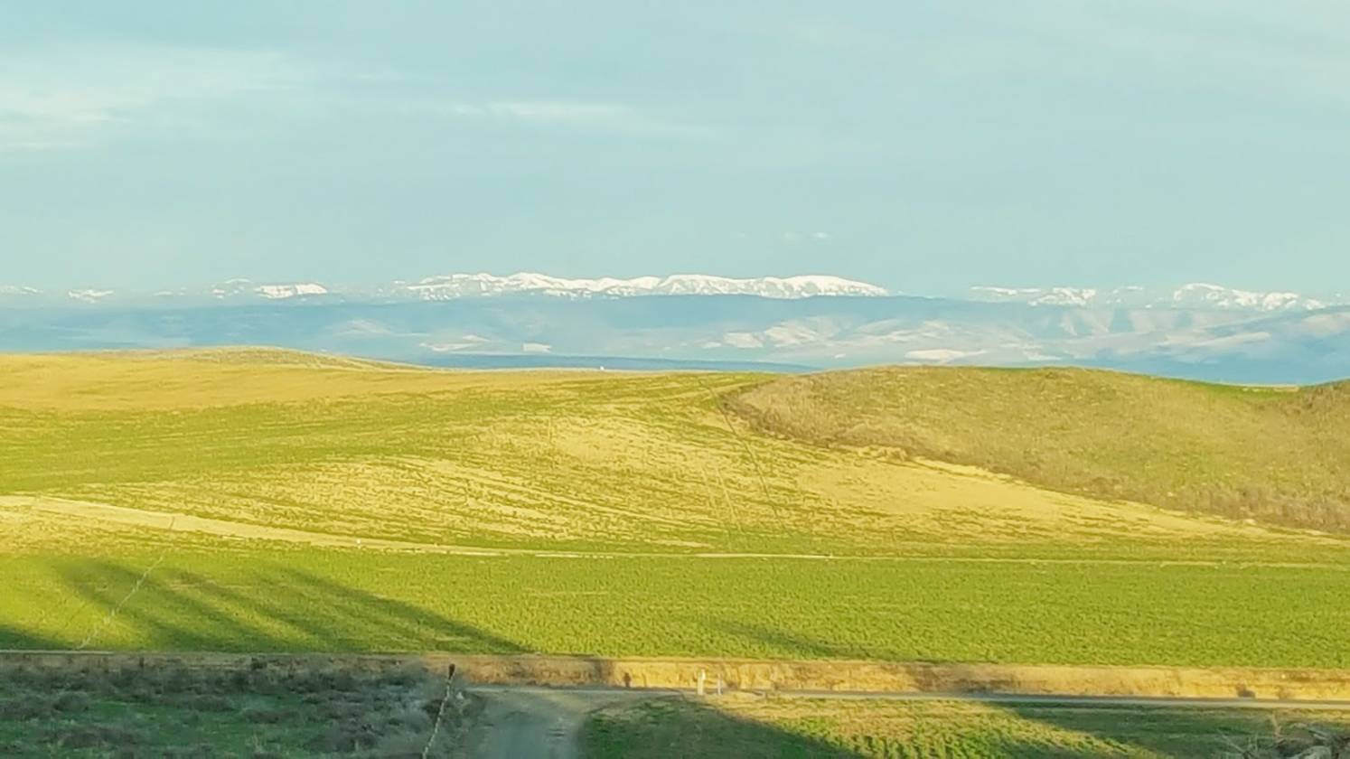 Horse property with views! Touchet, Walla Walla County