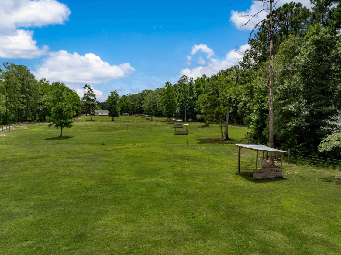 14 Acre Working Horse Farm Outside of Charleston - photo 6