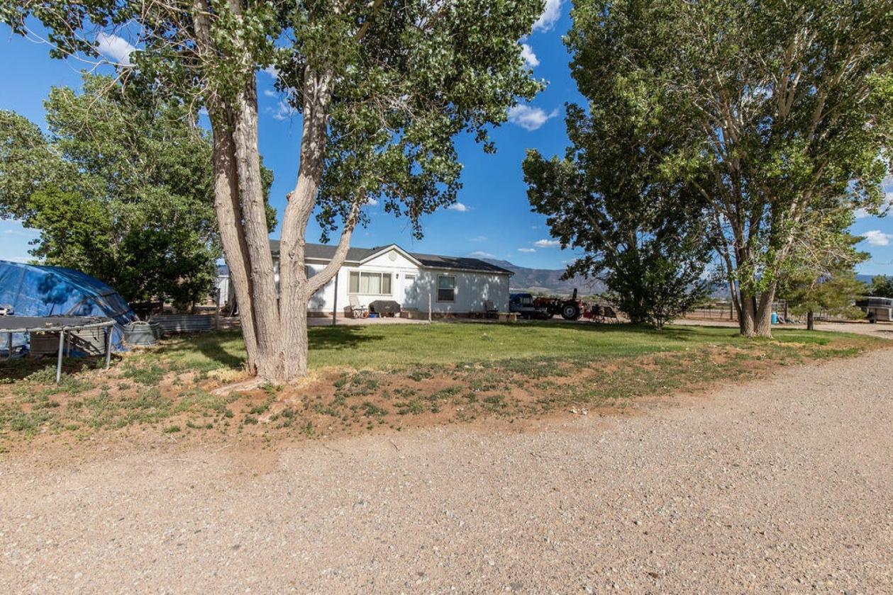 19.64 Acre Horse Property w/ Home and Outbuildings - photo 23