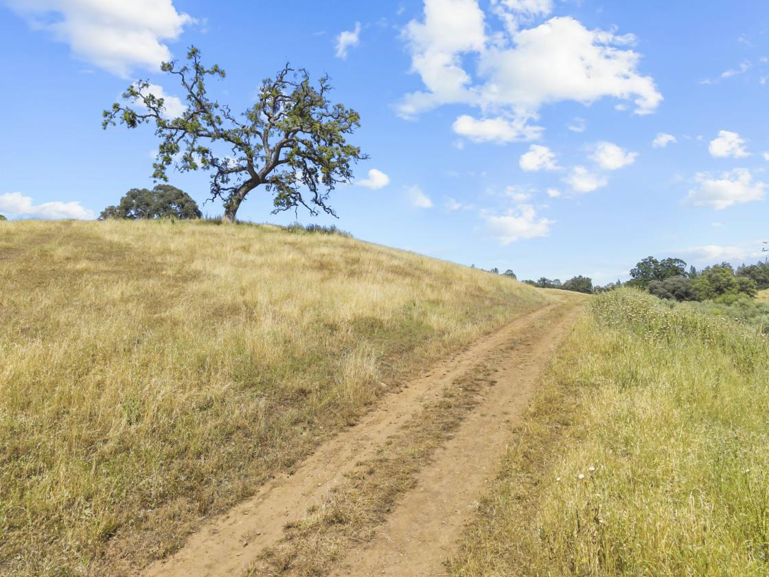 Amoruso Ranch - photo 26