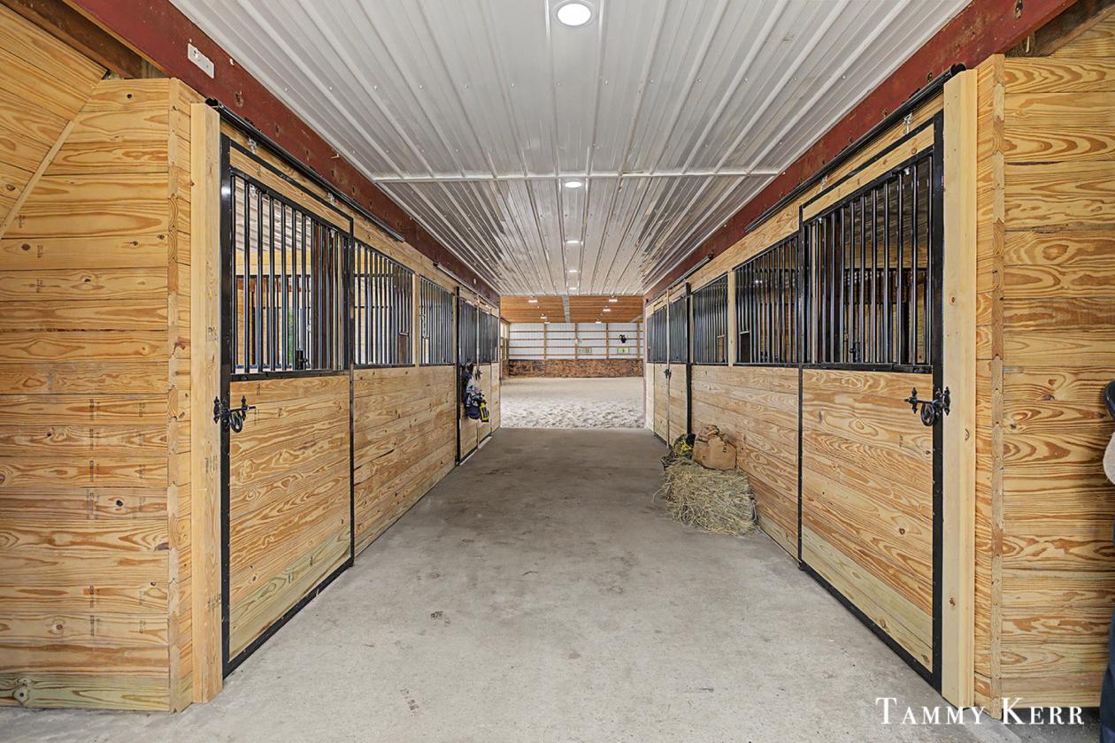 Equestrian Horse Farm - photo 6