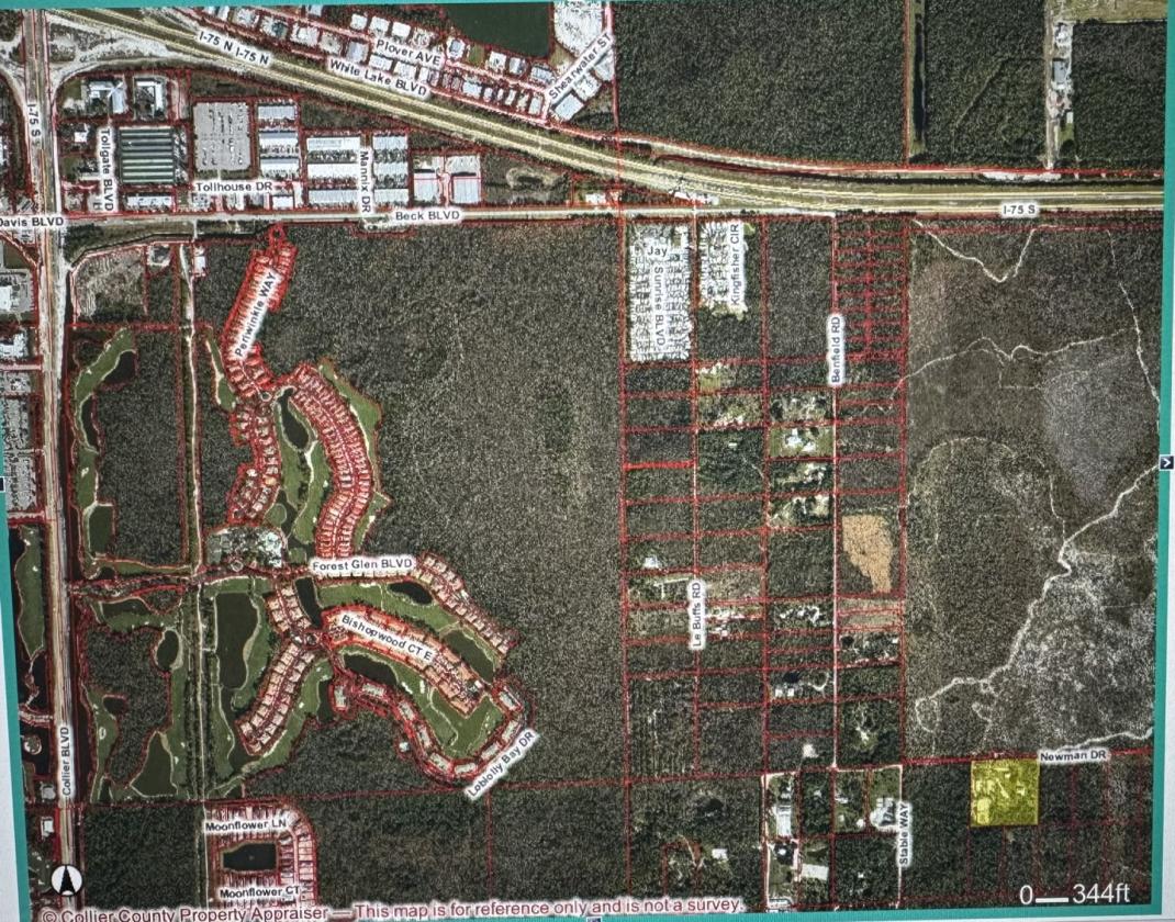 Naples Equestrian Facility on 70 acres with trails - photo 4
