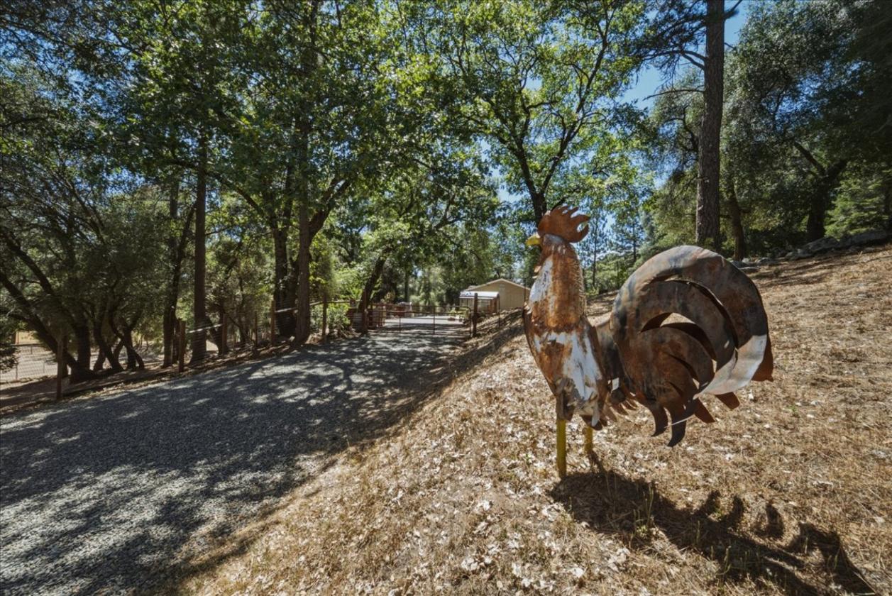 2-Acre Hobby Farm with Horse Amenities - photo 19