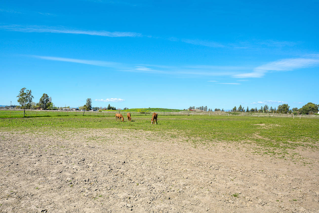 Value Package! Santa Rosa, Sonoma County, California