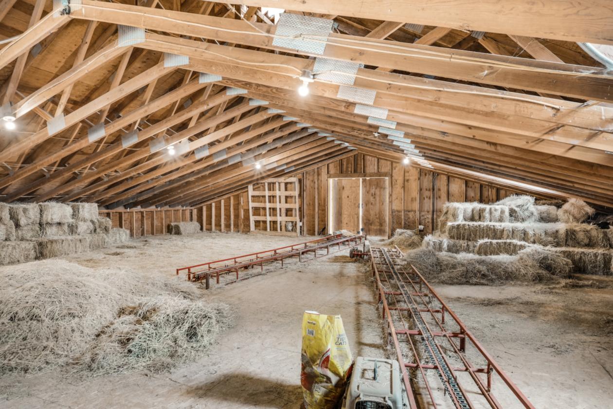 Luxury Equestrian Estate with Indoor Arena - photo 29