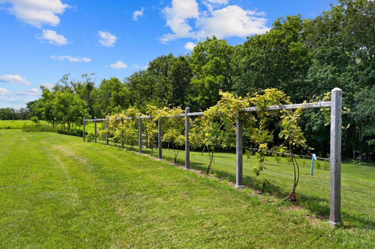 Your Own Private Paradise on 66 Acres - photo 24