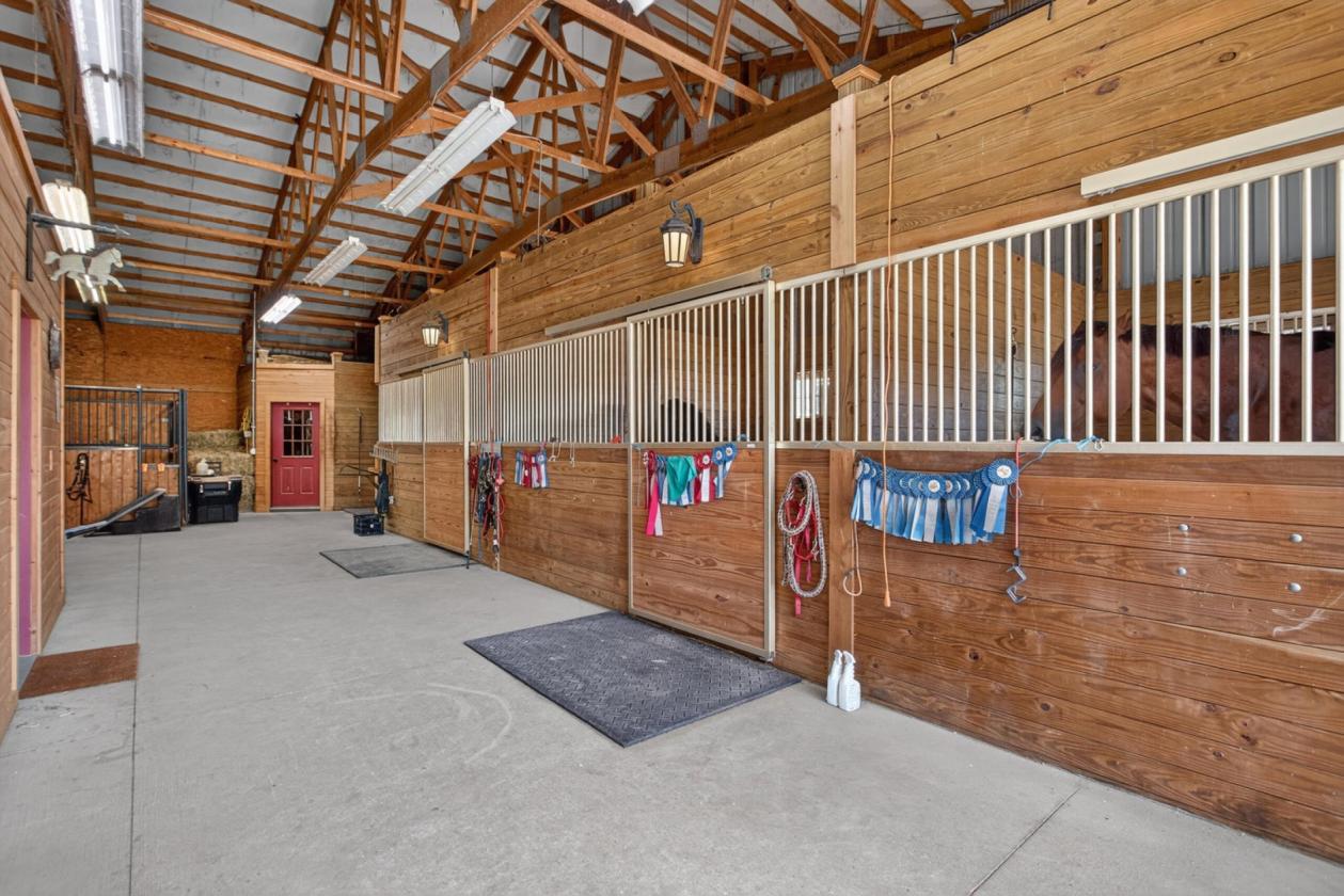 Equestrian Dream - photo 19
