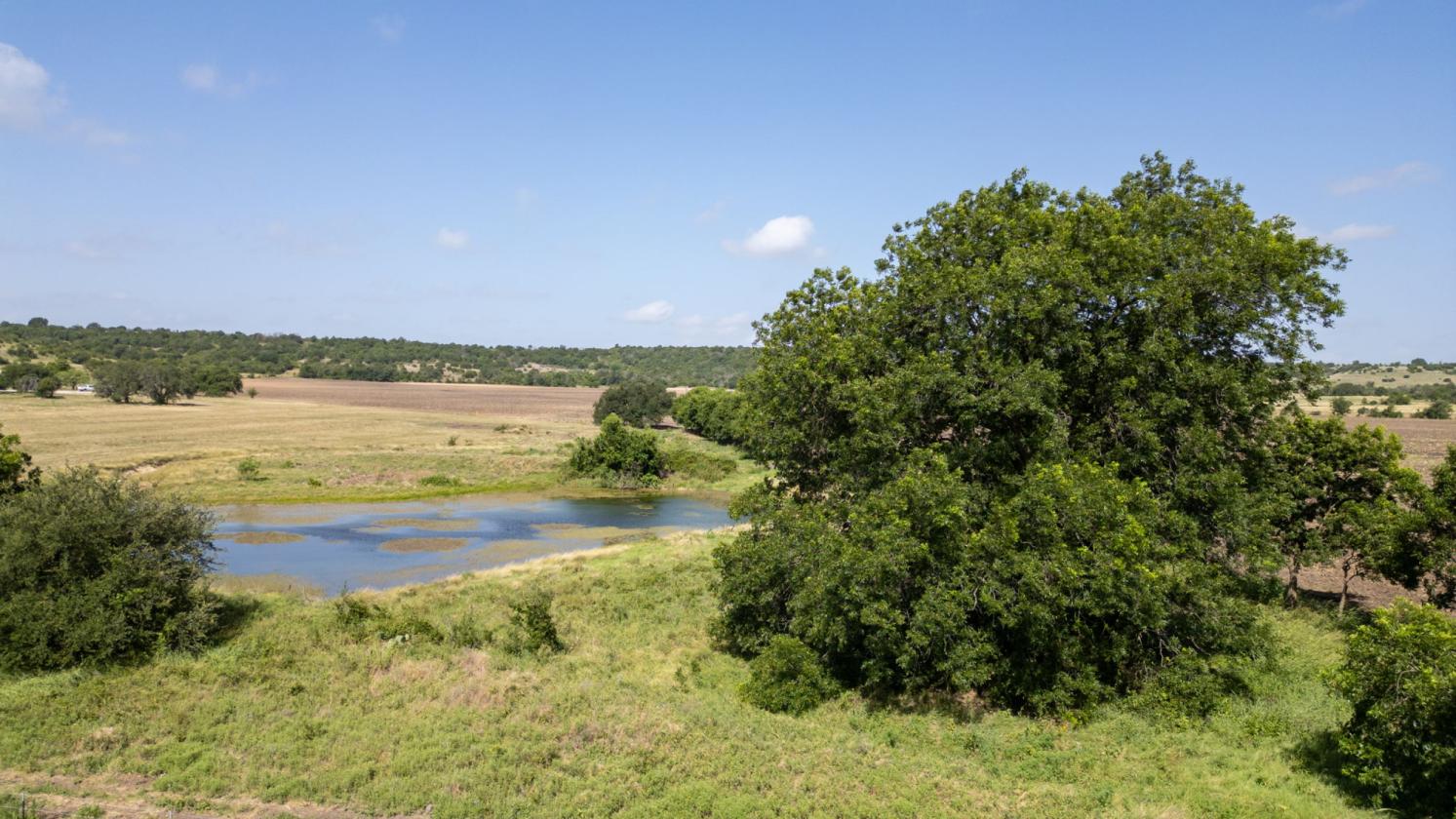 60 Acres in Star - Ready for Horses! - photo 20