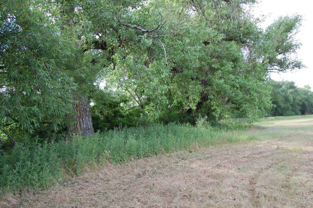 Exceptionally Beautiful 18 Acre Secluded Lot at the base of