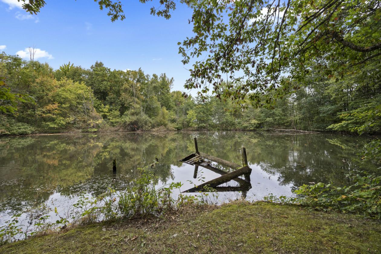 22 Acres of Country Living - photo 15