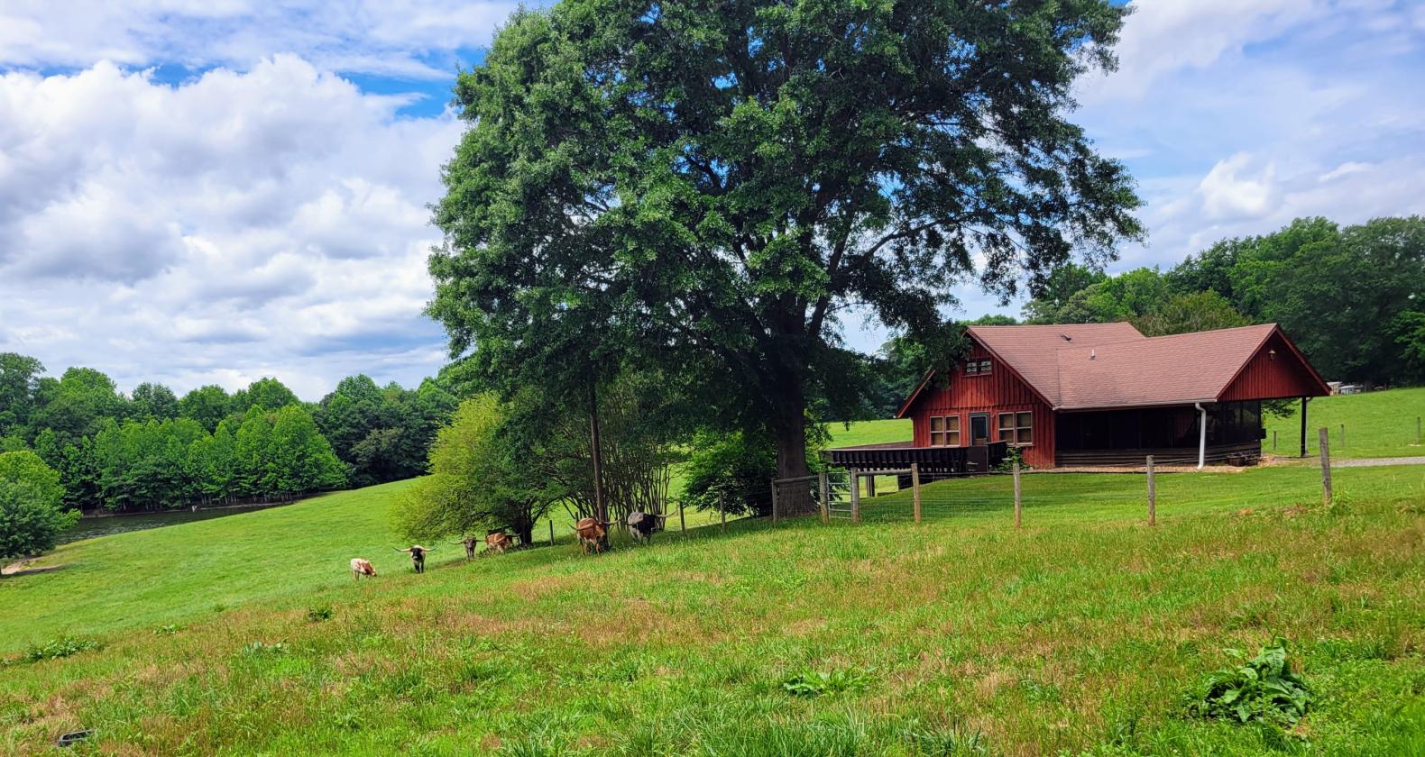 27.5 acre horse/cattle farm with paddocks and pond - photo 11