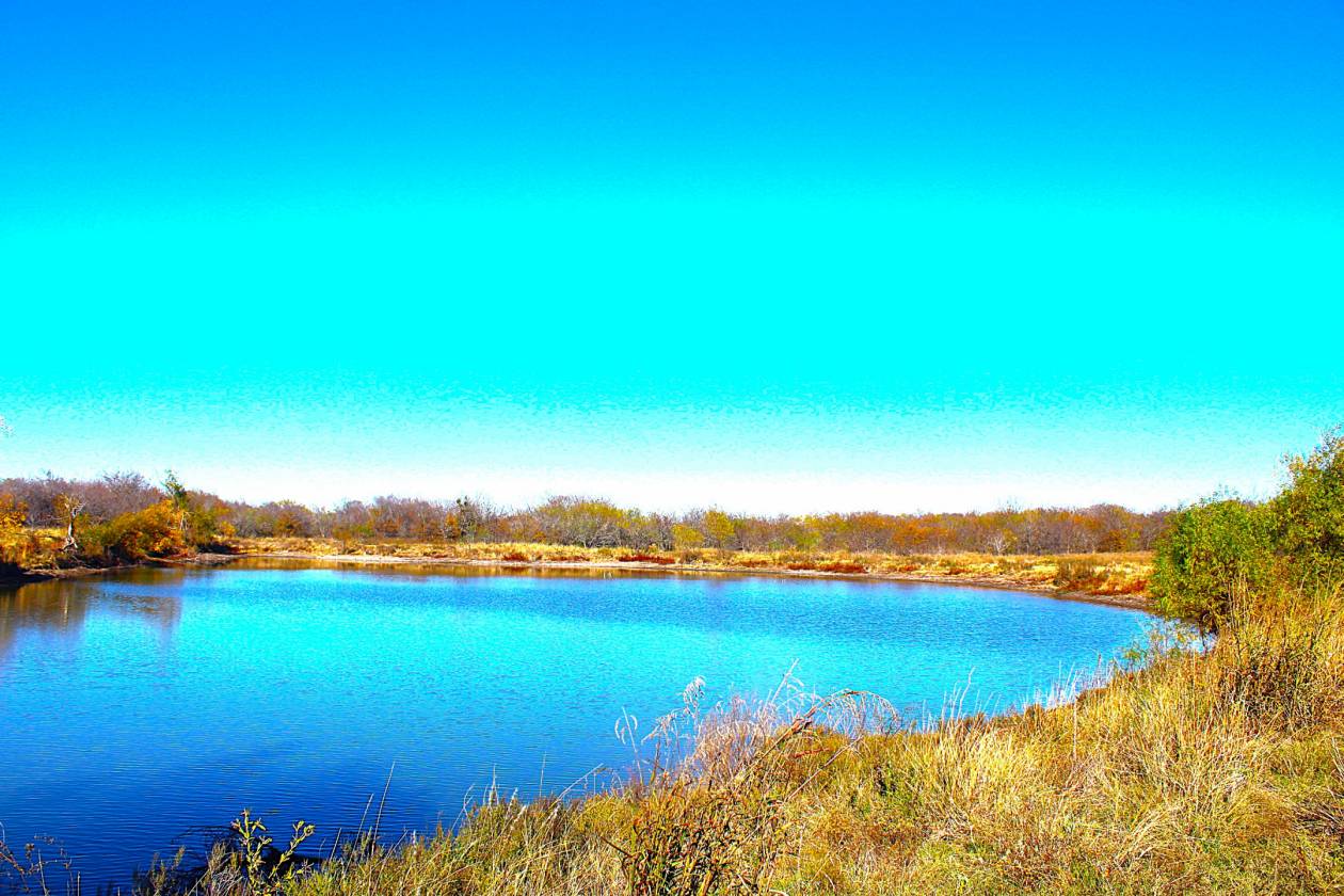 Horse Property for sale.