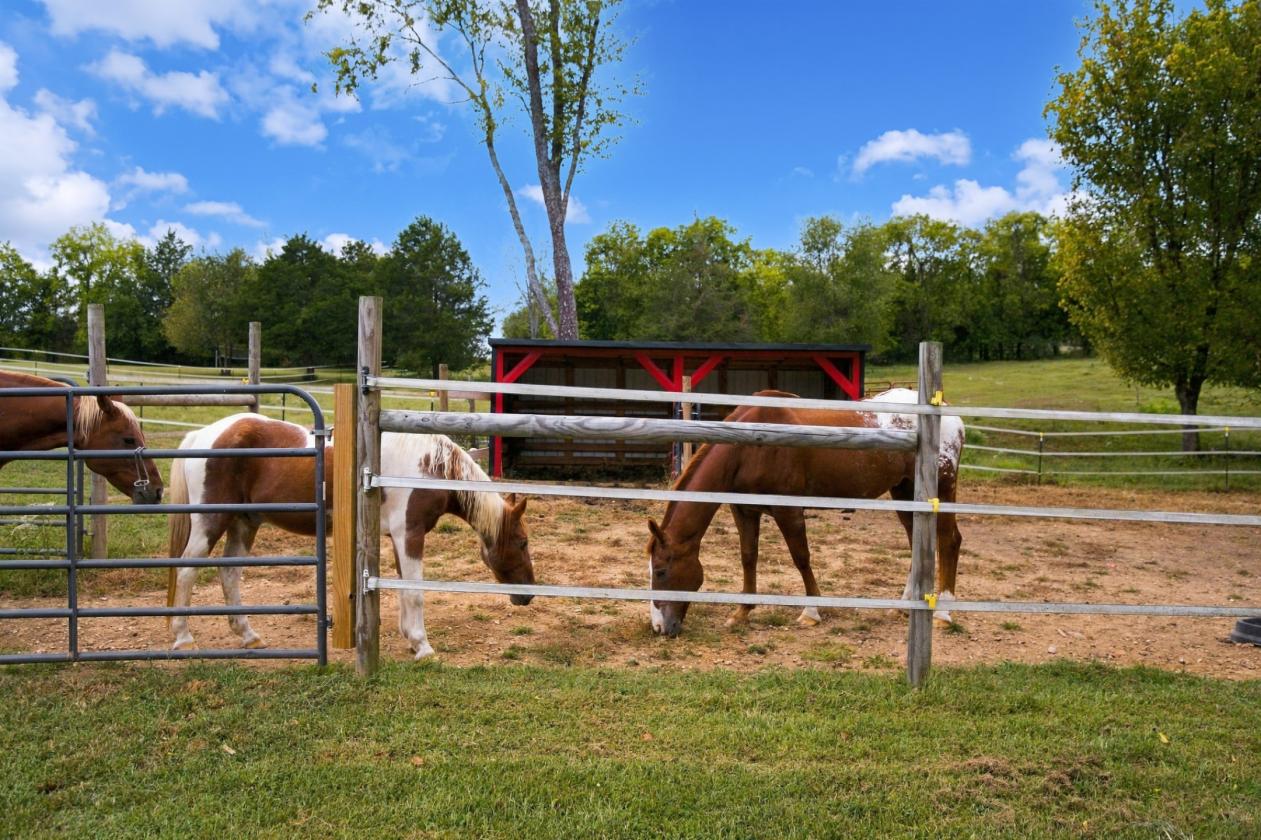 Horse Country Living - photo 28