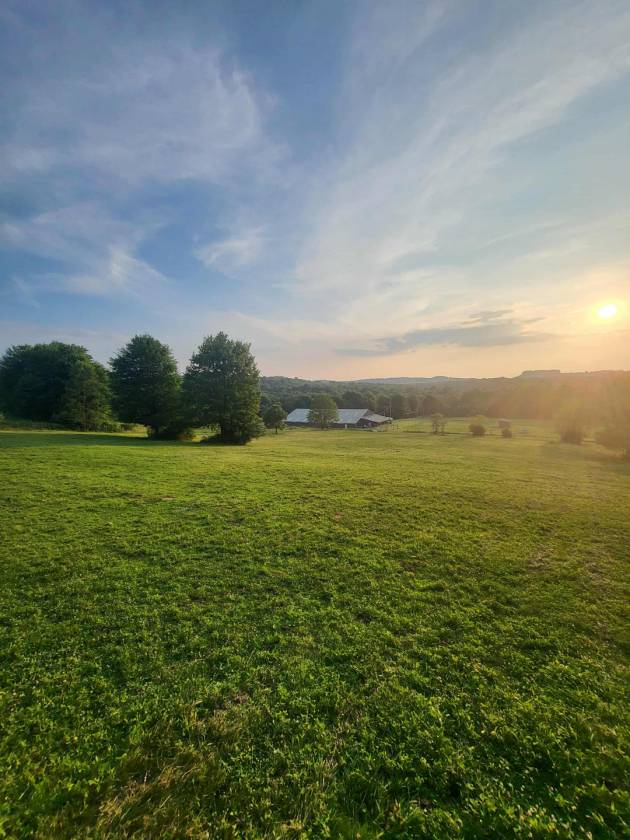 16.59 Acre Equestrian Estate - photo 22