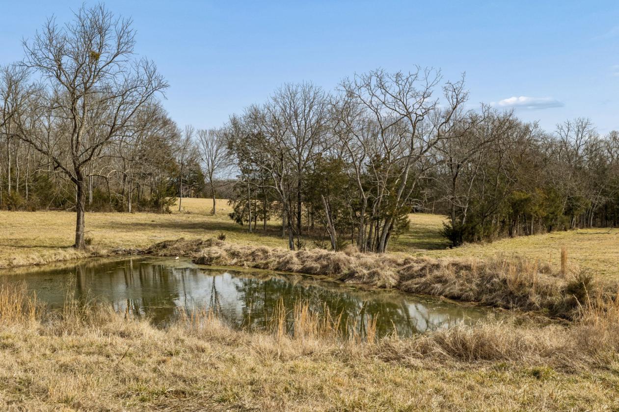 175 Gorgeous Acres - photo 9