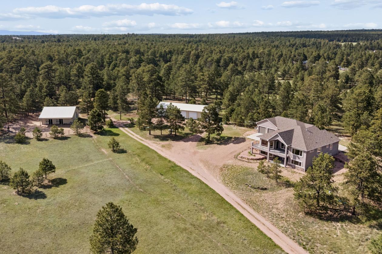 37 Acres with Home, Barn, Shop & Pikes Peak Views - photo 6