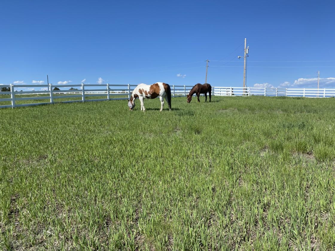 Custom 13.53 Acre Horse Property - photo 1