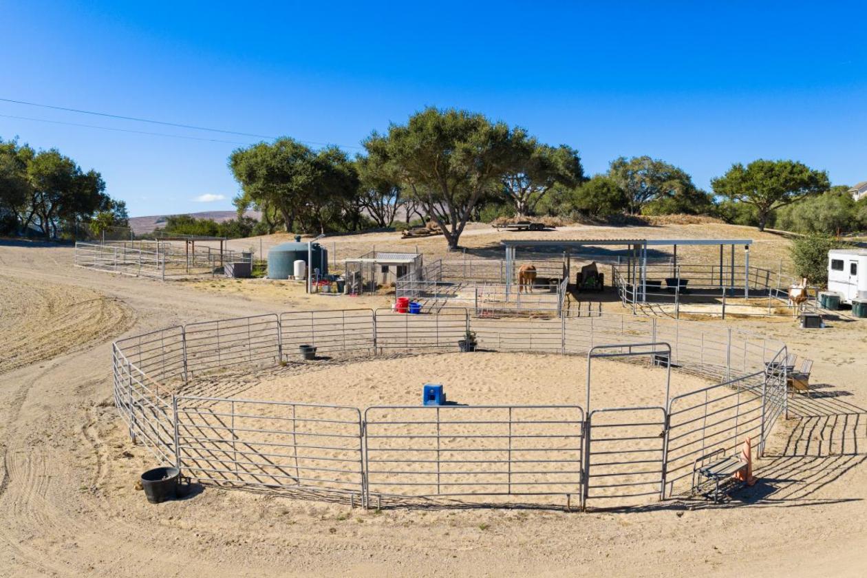 Hobby Horse Farm 15 minutes to the Beach - photo 14