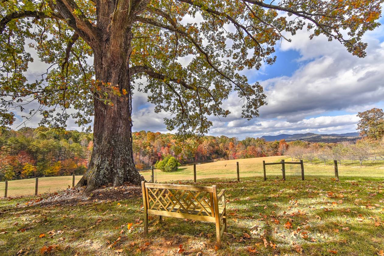 Badenyon Ranch - 750+ acre Farm & Sporting Club - photo 30