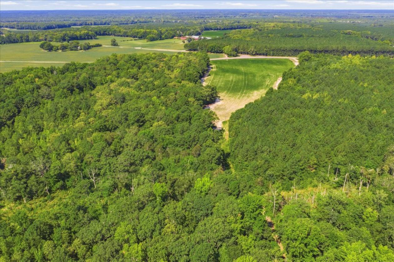 75 Acre Equestrian Dream Property - photo 21