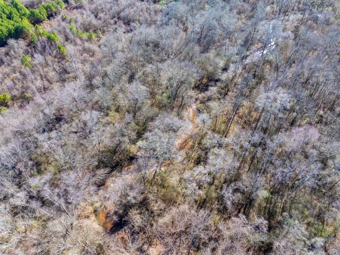 211 Acres- Luxury Estate & Equestrian Development - photo 8