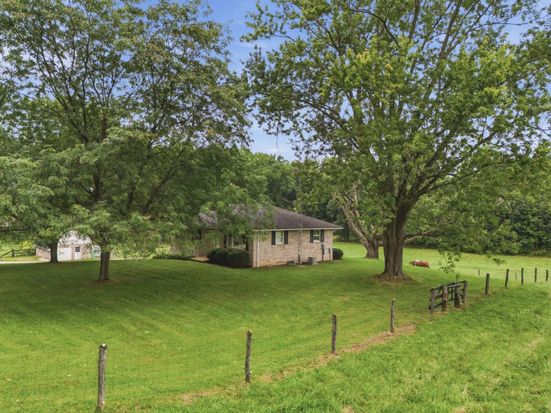 9+ Acre Horse Property with 2-Stall Barn - photo 4