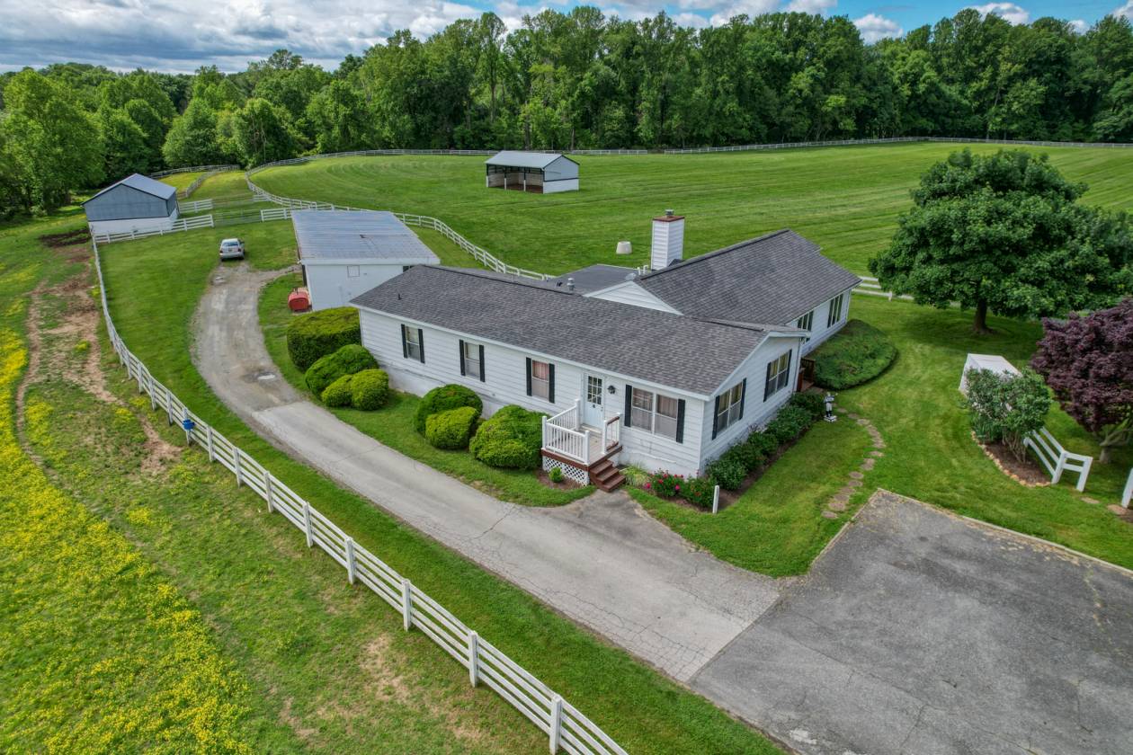 CandyLand Farm: Where Dreams Gallop Free! - photo 20