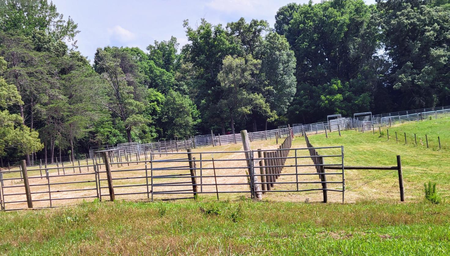 27.5 acre horse/cattle farm with paddocks and pond - photo 6