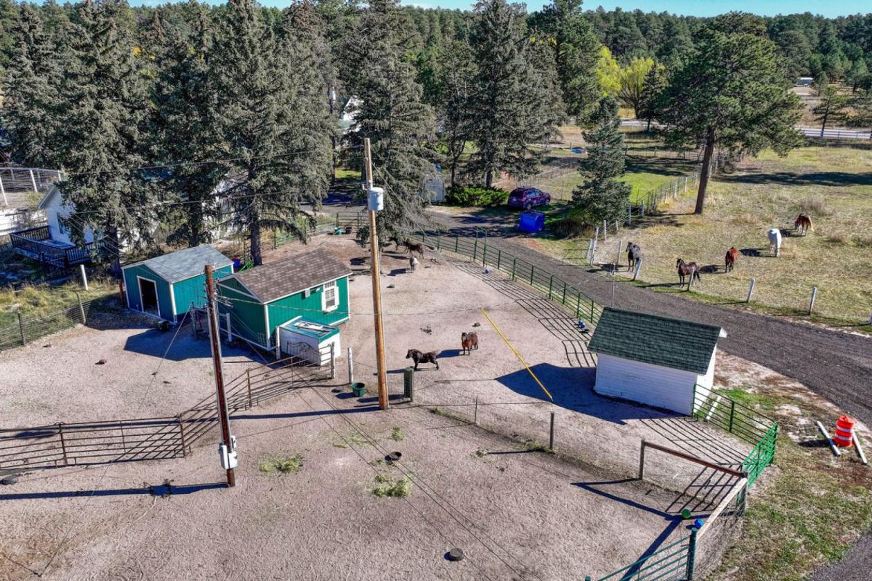 Historic Pine Run Ranch in Black Forest on 60AC - photo 20