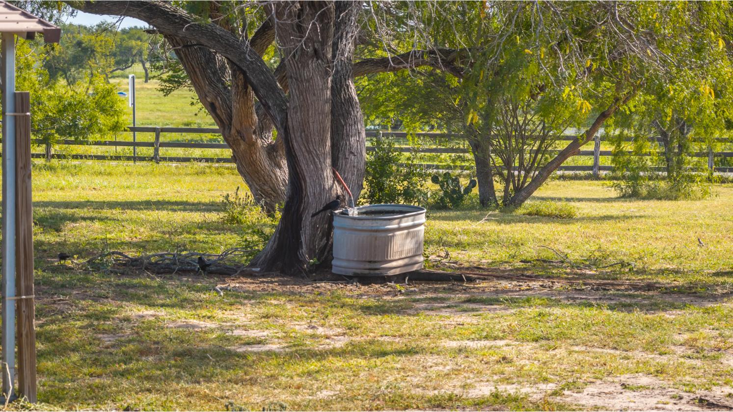 Turnkey 5-Acre Equine Estate - Massive $ Reduction - photo 22
