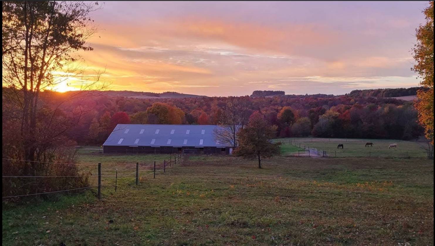 16.59 Acre Equestrian Estate - photo 21