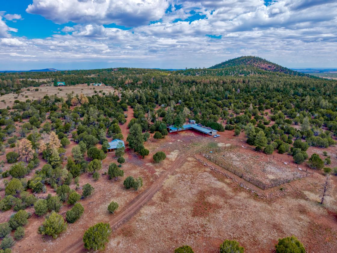 Rare 140 White Mountain Ranch- Majestic Views - photo 2