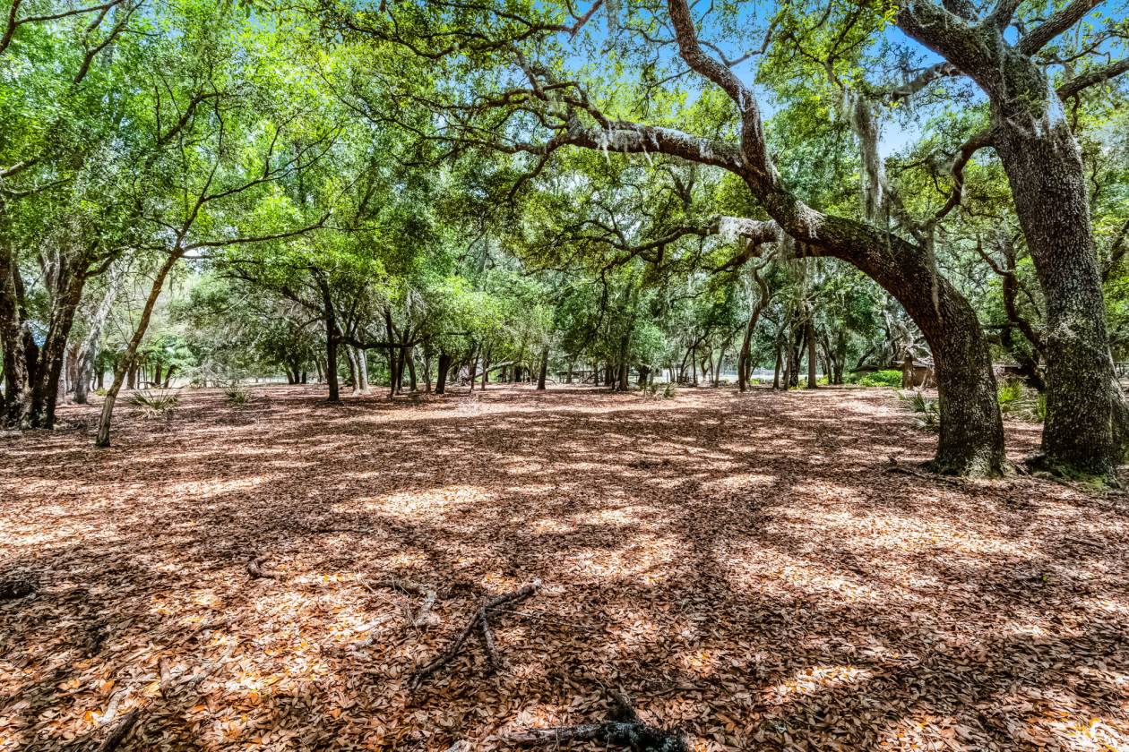 Private & Rare Wild Old Florida 36 Acre Gem - photo 1