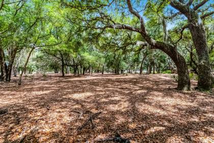 Property image.