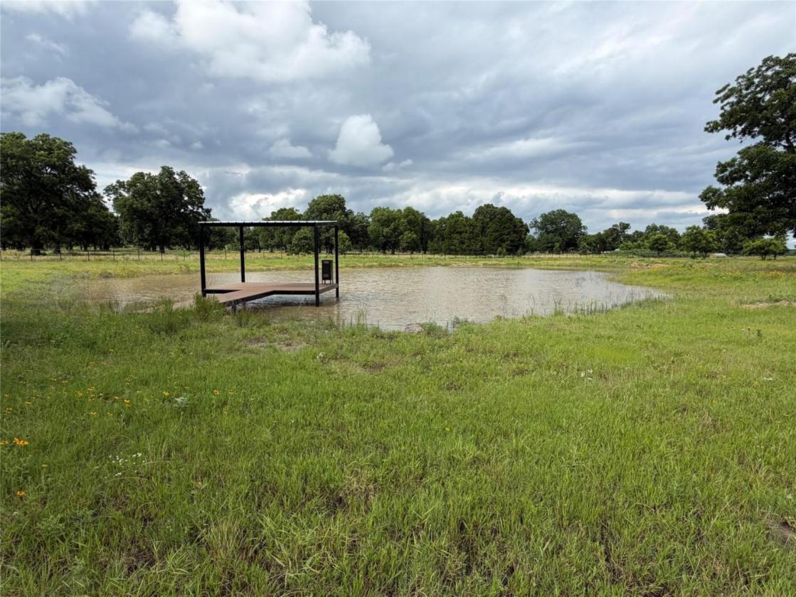 11 Acres of Pecan Trees - photo 7