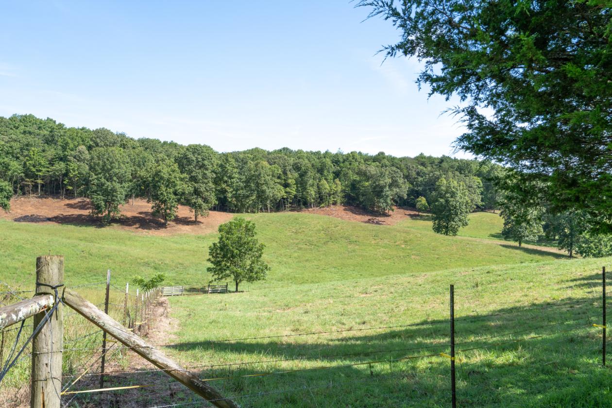 Large Equestrian Estate-Pasture, Mountains, Creeks - photo 18