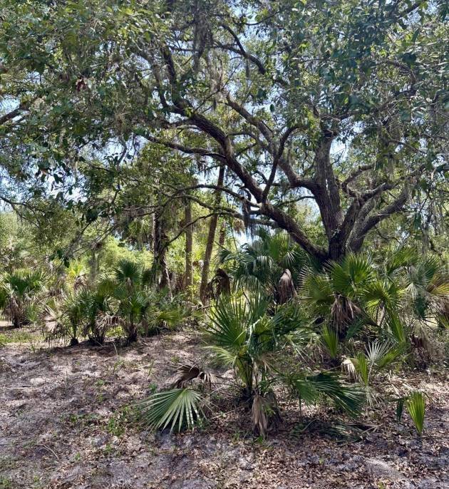 Horse Property for sale.