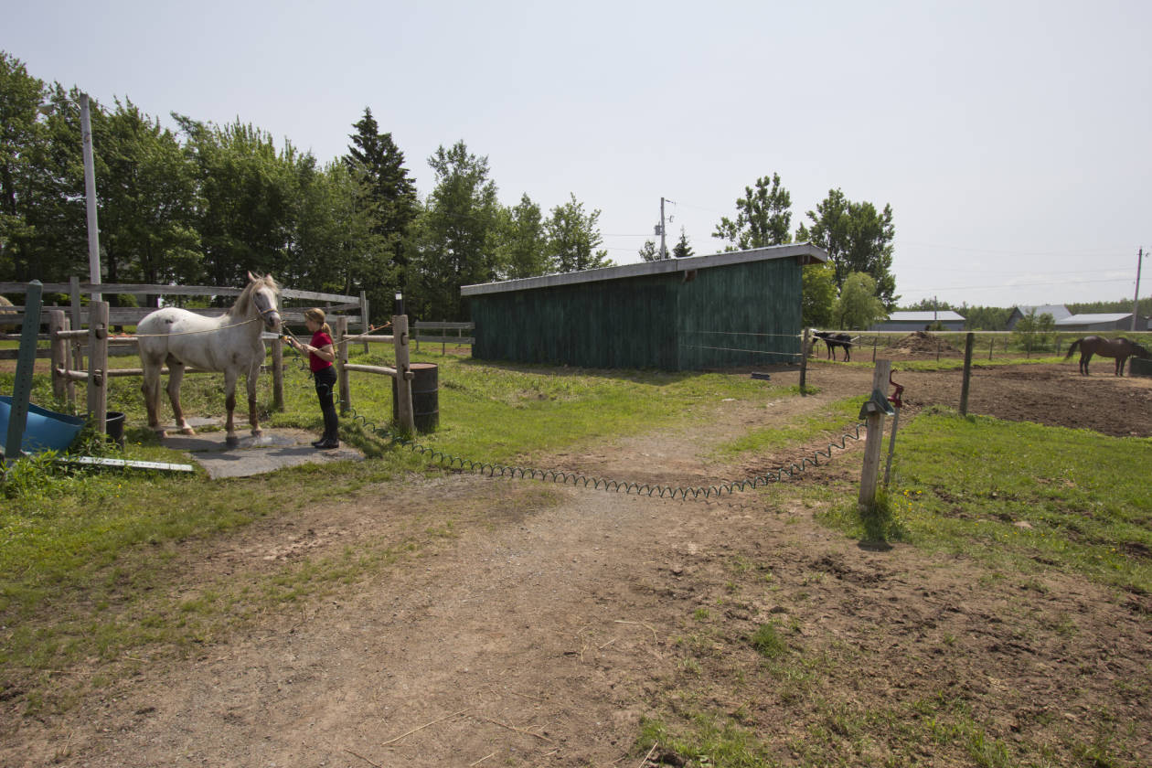 ESTABLISHED EQUESTRIAN STABLE Port Howe, Cumberland County, Nova