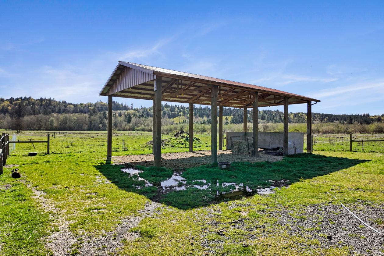 Large home & 18-acre ranch in Shelton, WA! - photo 7